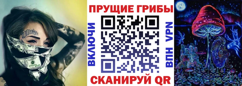 Псилоцибиновые грибы Cubensis  хочу наркоту  Починок 